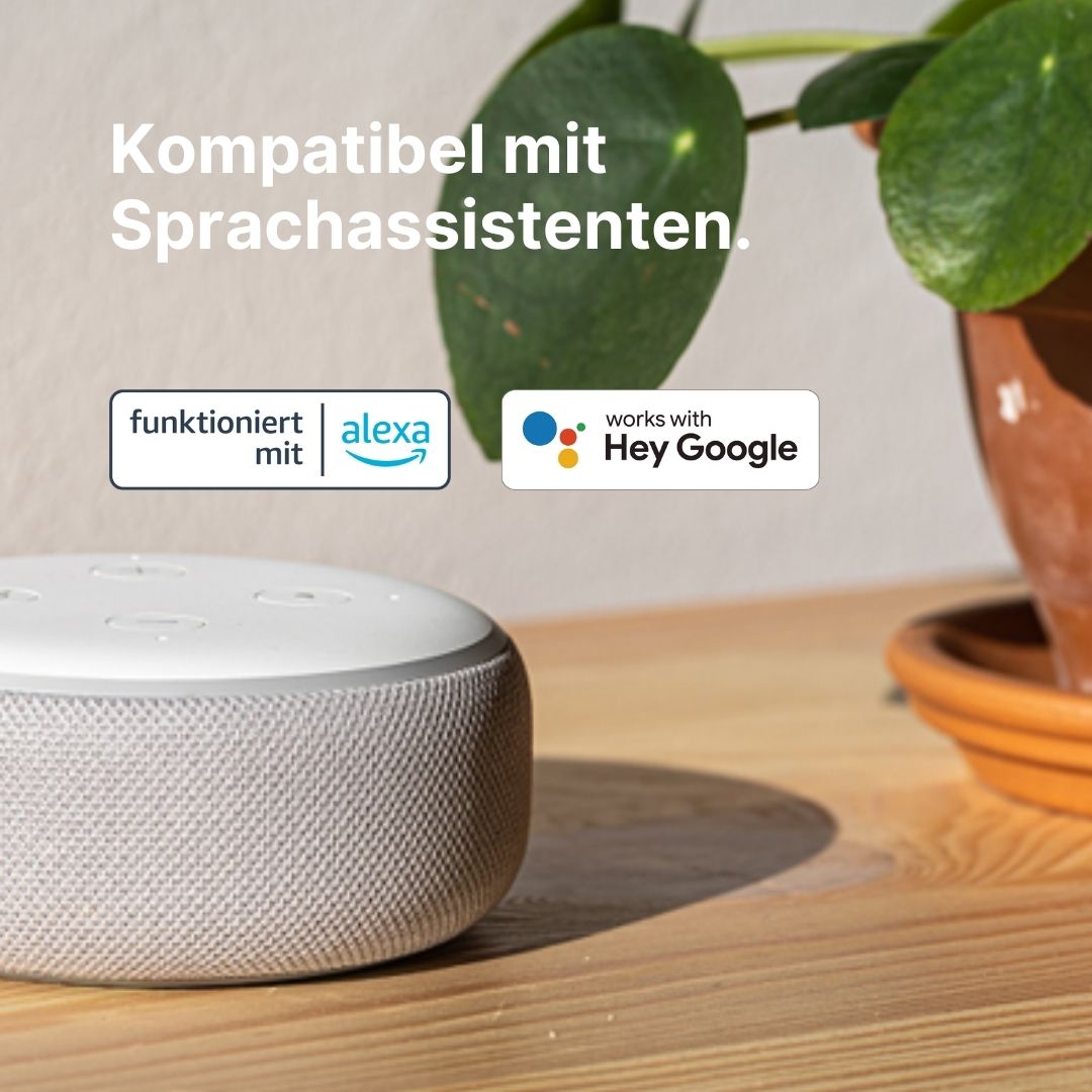 Como Conectar A Bluetooth En Alexa De Totalplay Altavoz Bluetooth